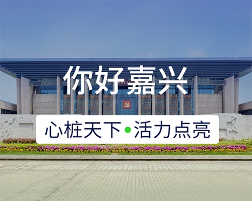 新城開埠 | 心樁天下，“電”亮嘉興